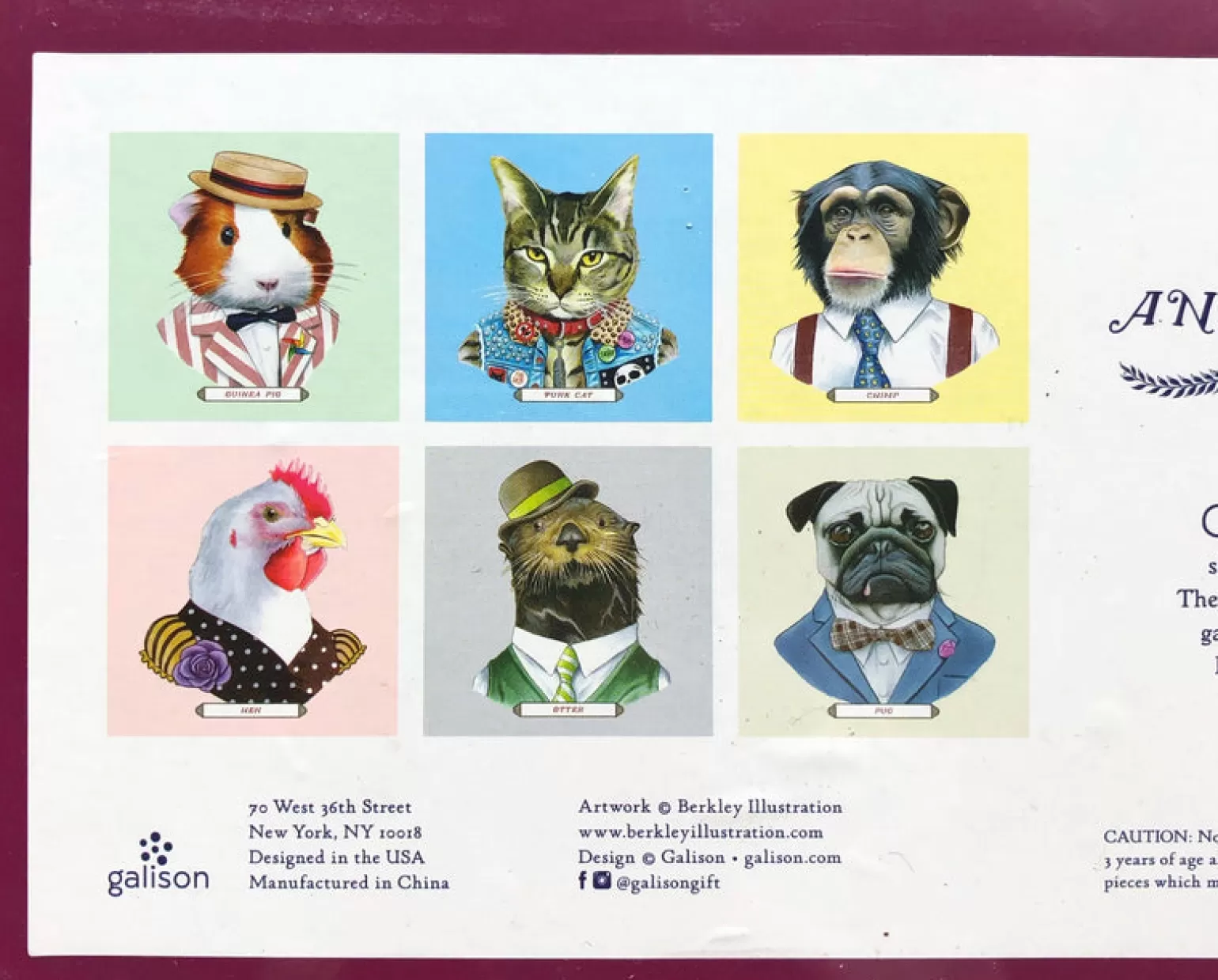 Other Galison - Animal Portrait Puzzles 6 X 25 Pieces In Multi Colour Print